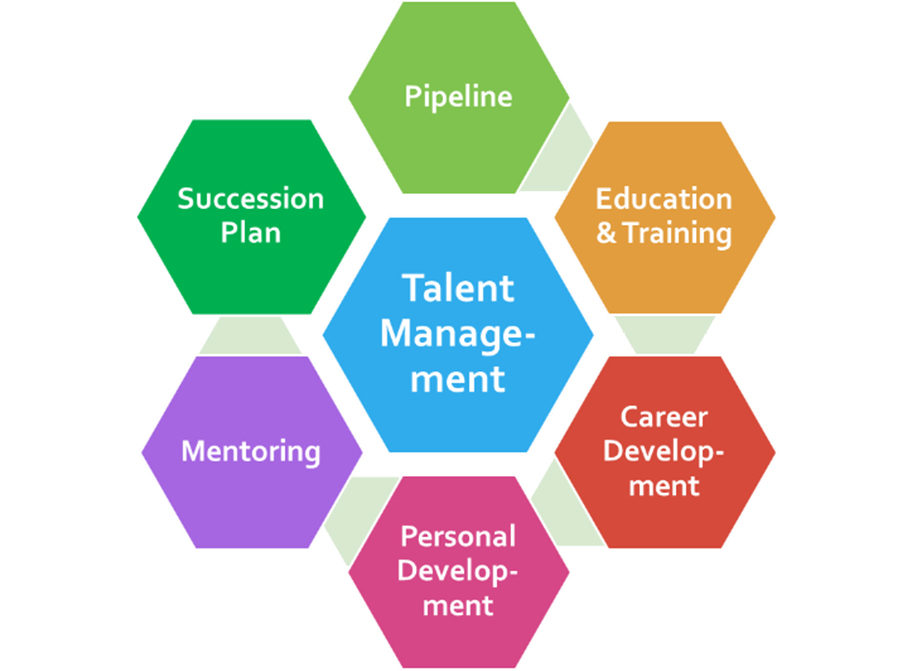 A Talent Management Program Facilitates Seamless Succession