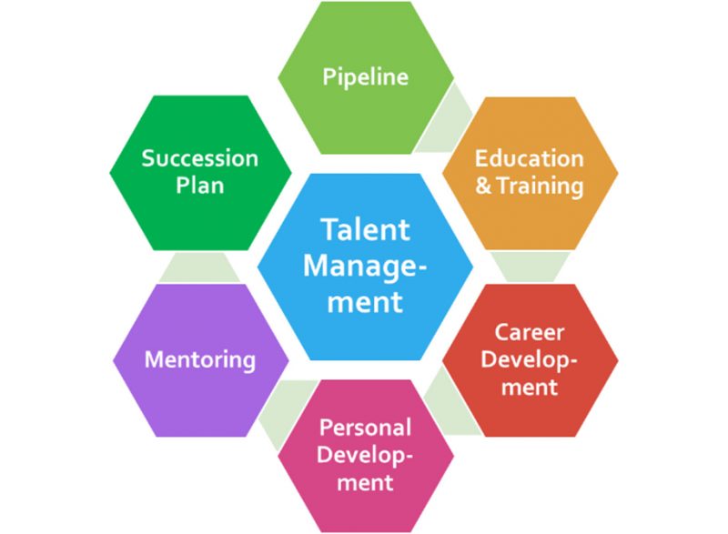 A Talent Management Program Facilitates Seamless Succession