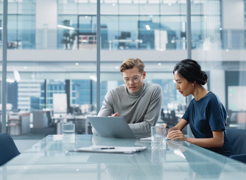 Business Developer or Relationship Manager